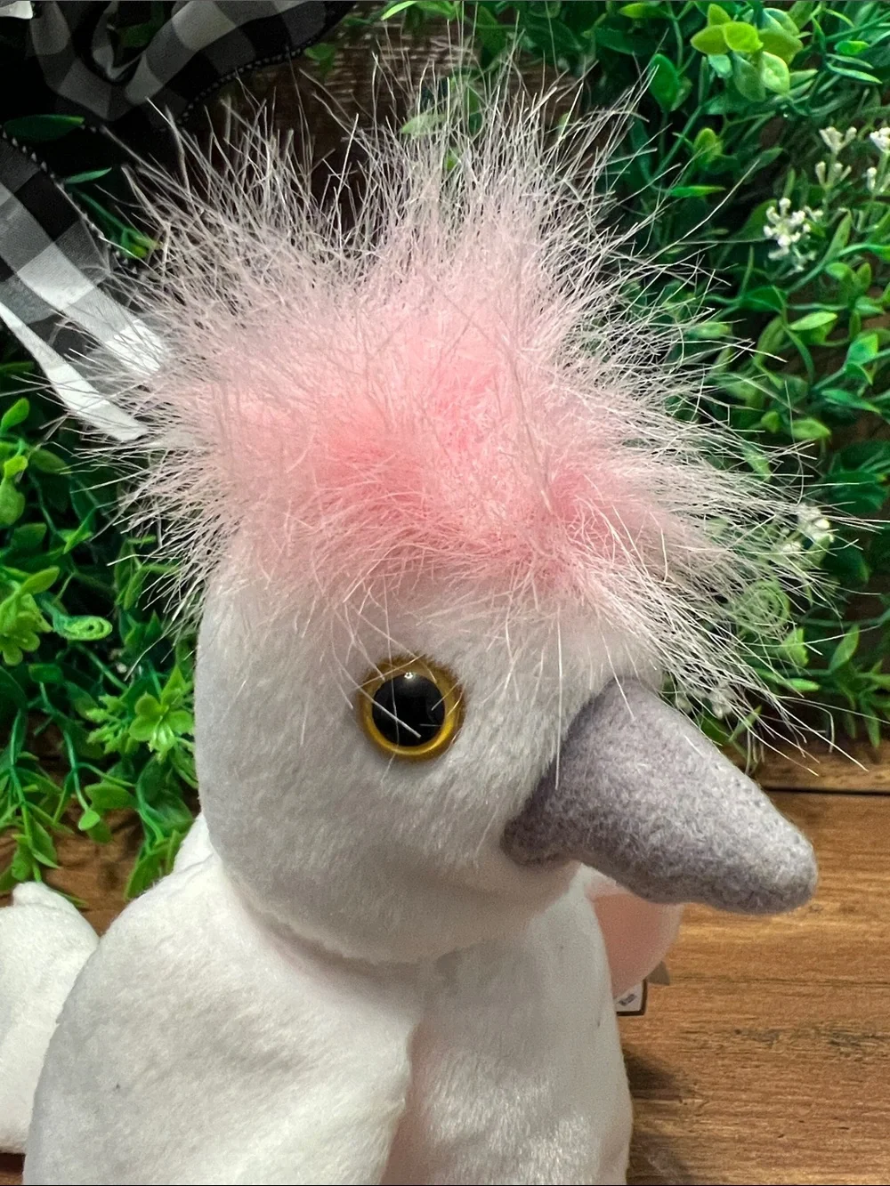 TY Beanie Baby Kuku the Cockatoo TAG ERRORS RARE RETIRED 1997 1998